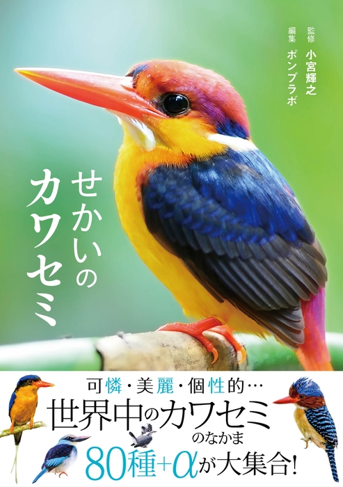 『せかいのカワセミ』書影