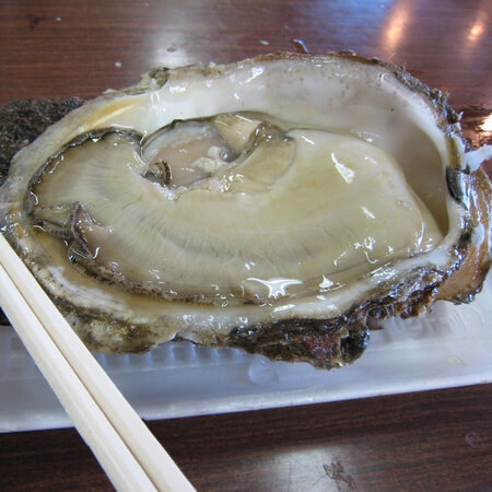 牡蠣は低脂肪高タンパクの食品