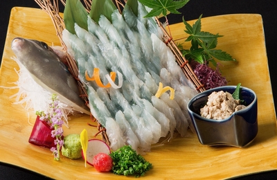 博多 どげん海1