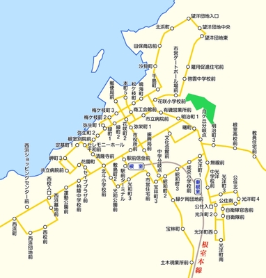 根室交通の路線図イメージ（一部抜粋）