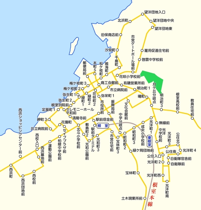 根室交通の路線図イメージ（一部抜粋）