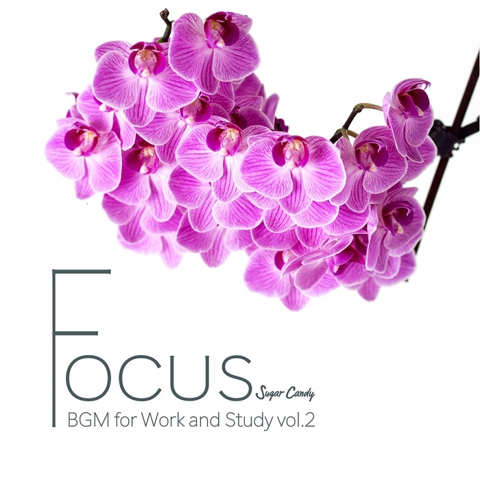 Chill Café Beats/FOCUS "BGM for Work and Study" vol.2
