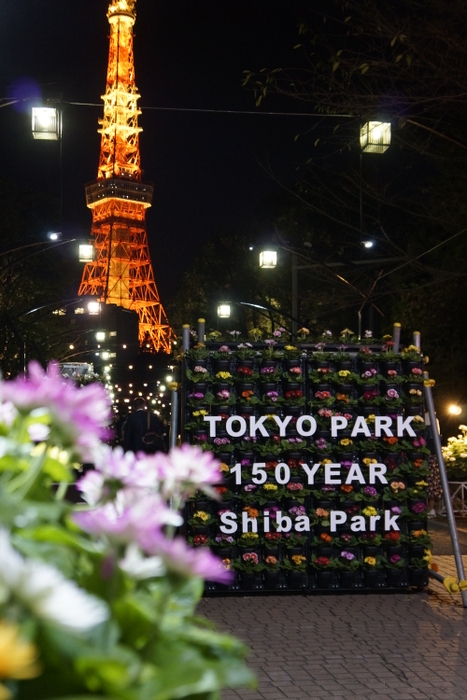 芝公園150周年フラワーキャンバス