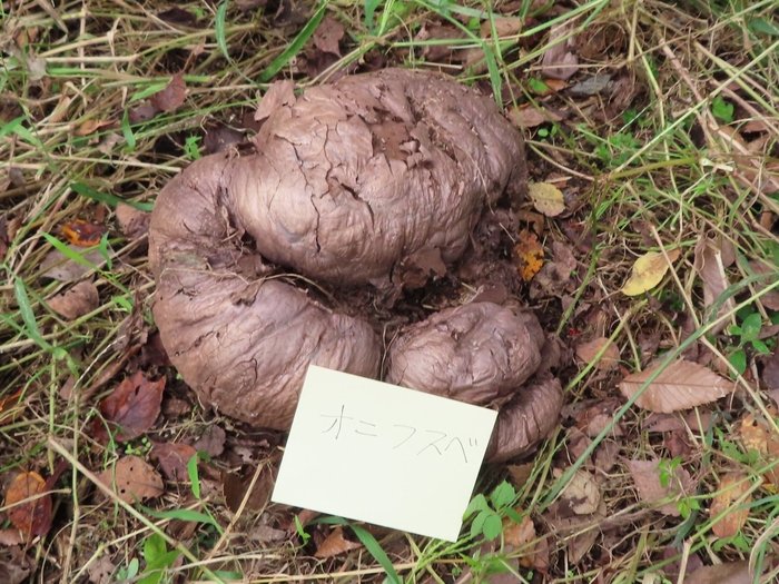 う~ん。何かを連想させます