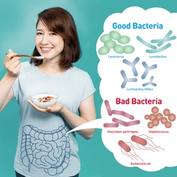 ダイエットと健康に関する最新レポートをmicrodiet.netにて公開　 『腸内環境改善でやせ体質に！「シンバイオティクス」とは』