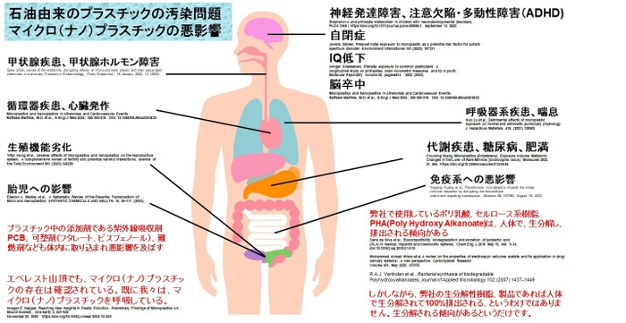 ナノプラスチックなどのプラスチック汚染による人体への健康リスク