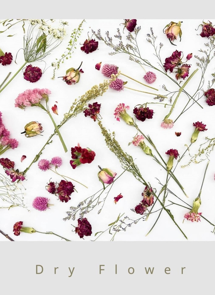 フラワーロス削減 夏休みにお子様と楽しもう ドライフラワーで作るナチュラルドライフレーム手作りキット新発売 Newscast