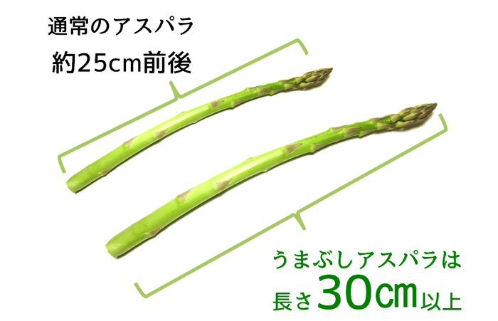 うまぶしアスパラ(7)