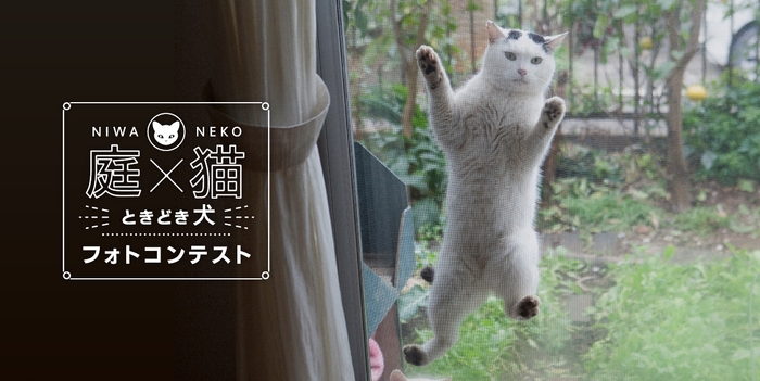 庭×猫 ときどき犬 フォトコンテスト