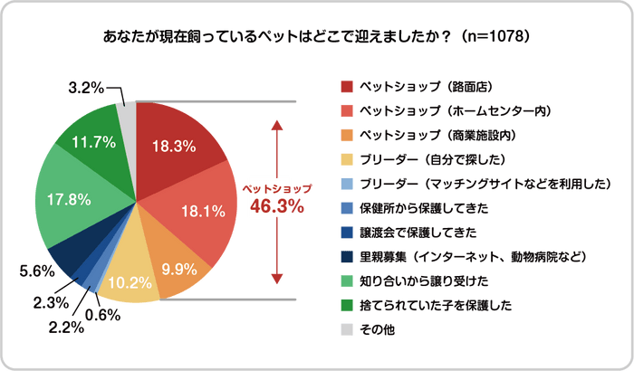 ペット 飼う 回数 販売 アンケート