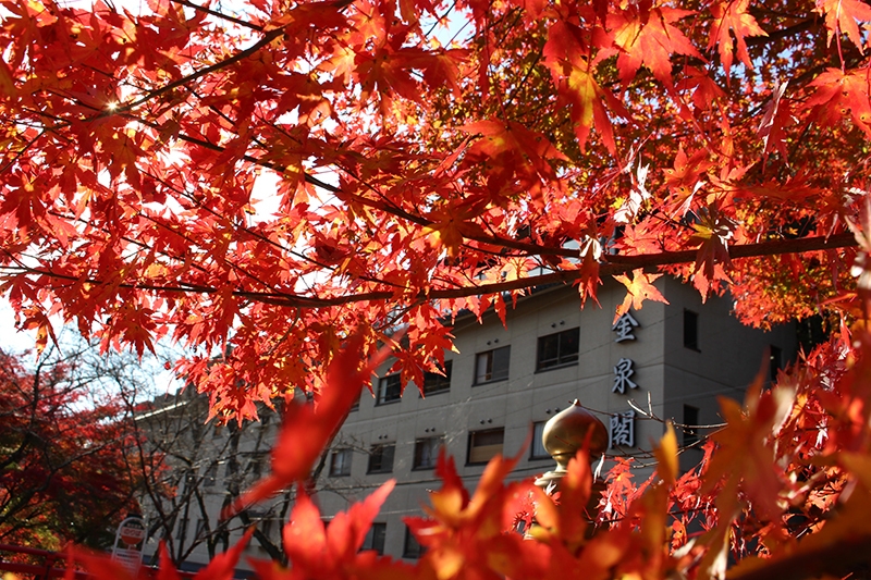 四季折々の景色：紅葉  