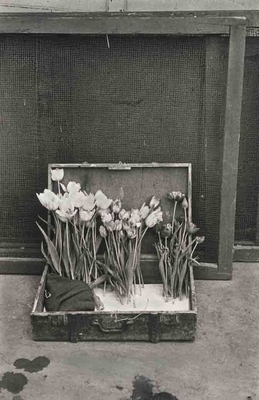 《パリ》1950年 Paris, 1950 (C) Robert Frank