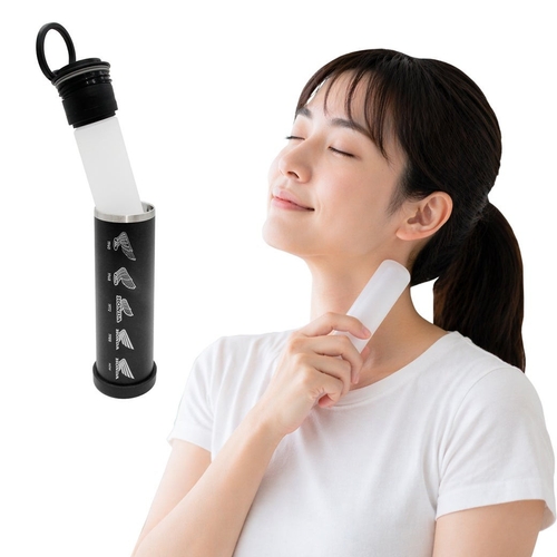 氷嚢 サーモアイススティックボトル ホンダウィングヒストリー