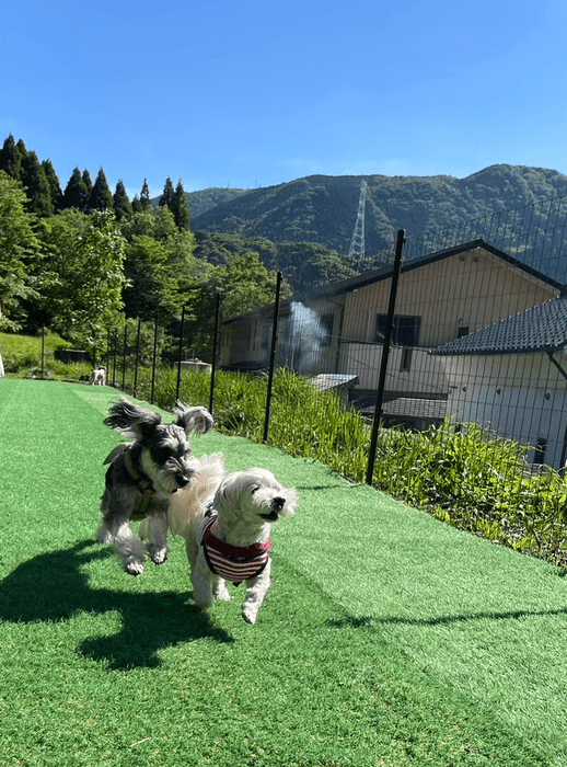 わんこの泊まれる施設(大分県)