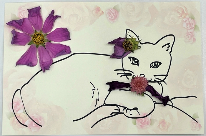 ポストカード(猫)イメージ
