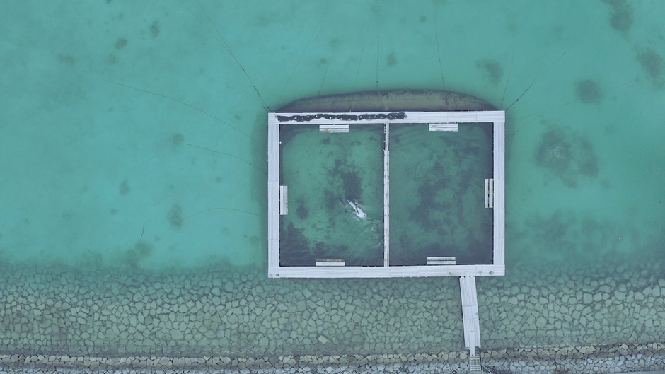 OTスペシャルムービー画像2