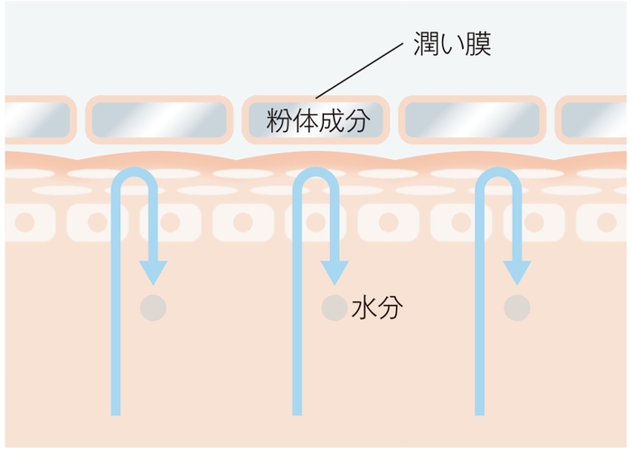 パウダー密着肌図イメージ