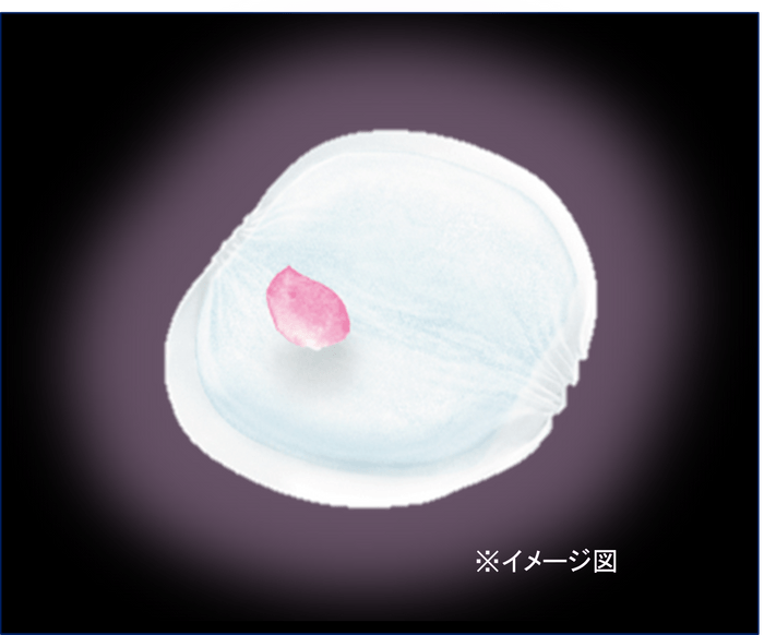 ３枚目