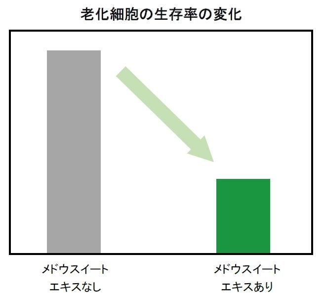 老化細胞の生存率の変化