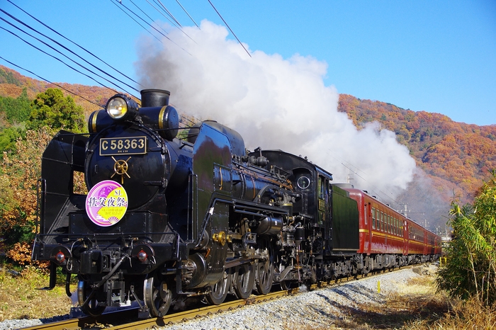 秋のSLパレオエクスプレス イメージ