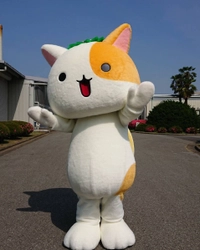「ネコかっぱアイちゃん」Instagramスタート！　 アイオンドルフィンズオリジナルグッズに 超吸水タオル動物シリーズ柄も登場