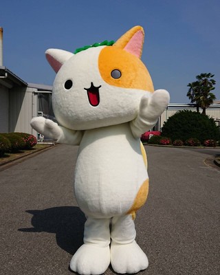 ネコかっぱアイちゃん着ぐるみ