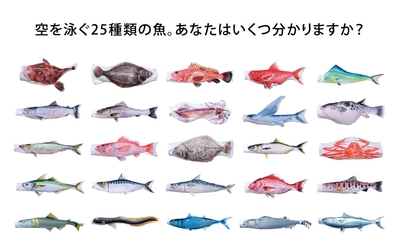 のぼり水族館一覧