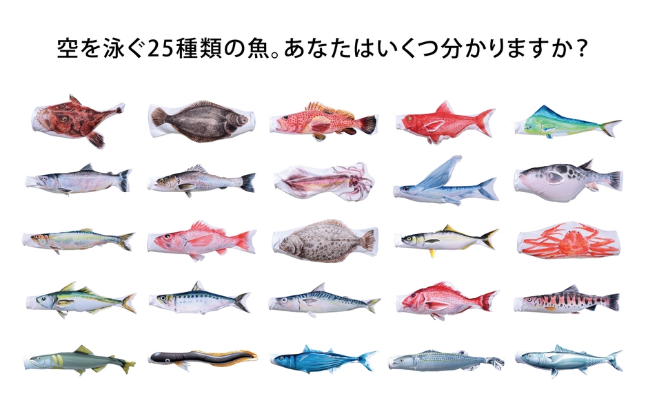 のぼり水族館一覧