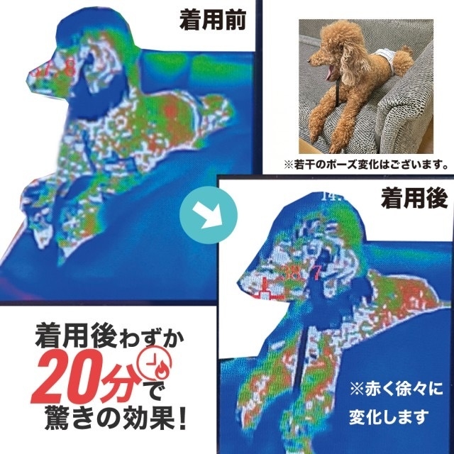 日本の宝を発掘する”視点から、株式会社ボルテックスの ものづくりに