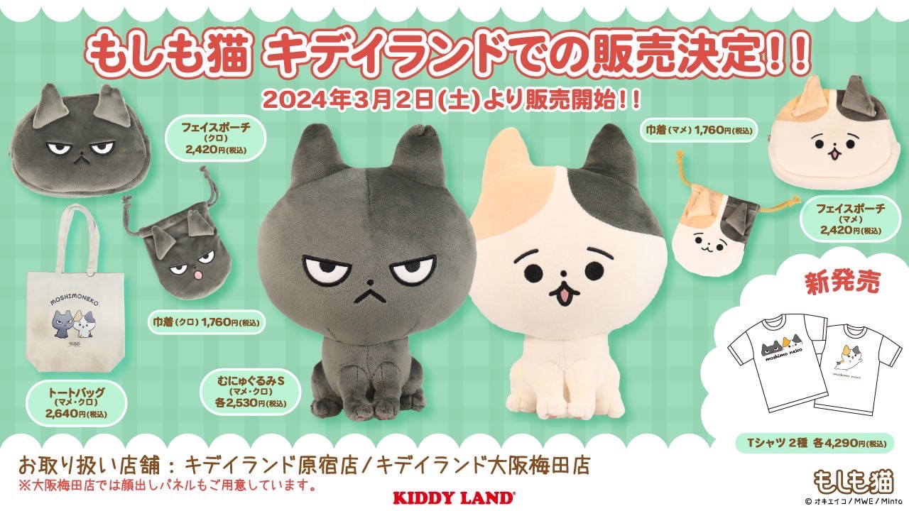 猫が邪魔で何も見えないカレンダー