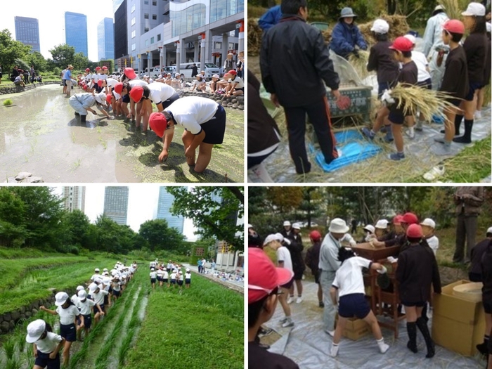 上段：田植え／脱穀作業、下段：除草作業／籾摺り