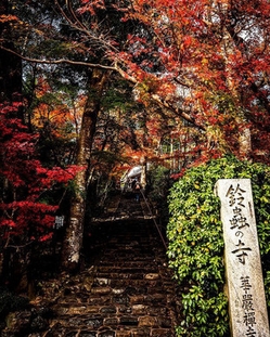 京都華厳寺 鈴虫寺(7)