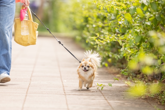 ※コラム内の記事、写真等の転載はご遠慮ください。