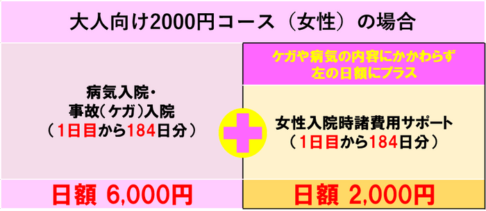 大人向け2000円コース(女性)の場合