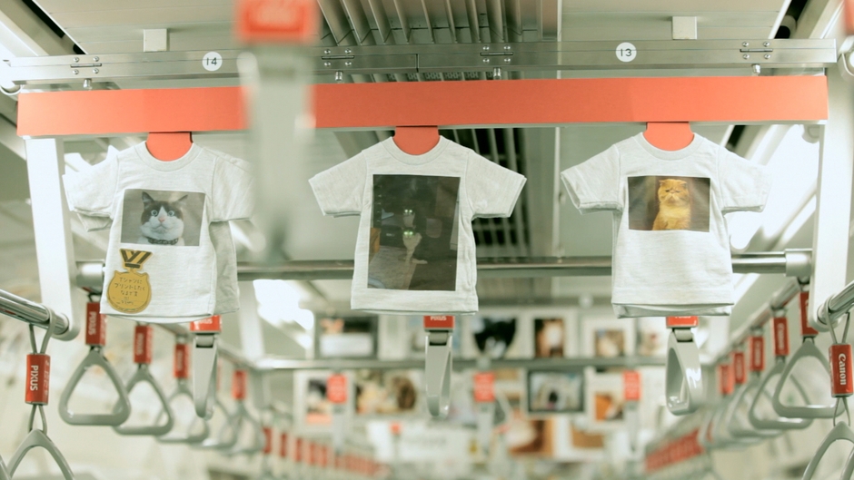 00動画切り出し写真