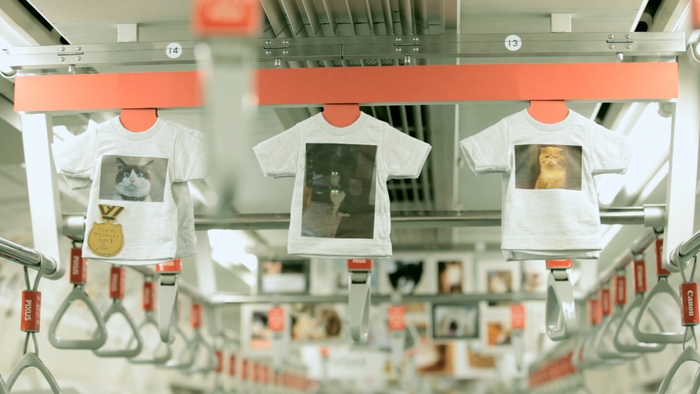 00動画切り出し写真