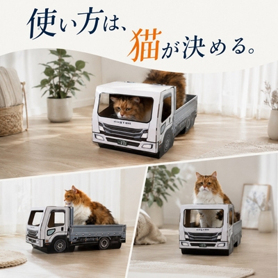 運転席に入る、荷台でくつろぐ、屋根に乗る。猫それぞれの使い方が生まれます