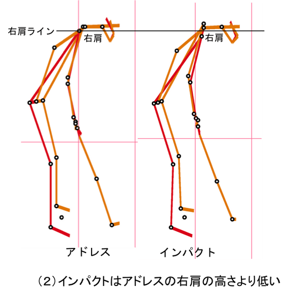 (2)の画像