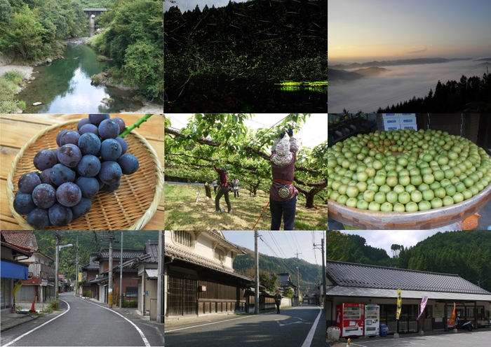 地域おこし協力隊も募集🌳