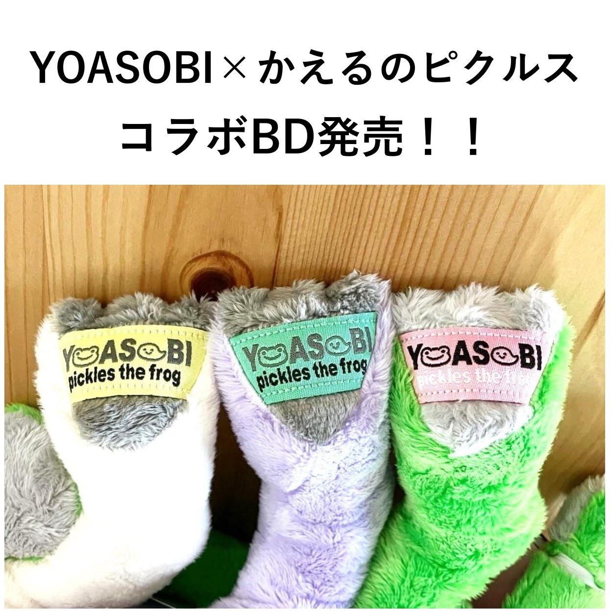 YOASOBI×かえるのピクルス コラボ ビーンドール発売決定！！】 | NEWSCAST