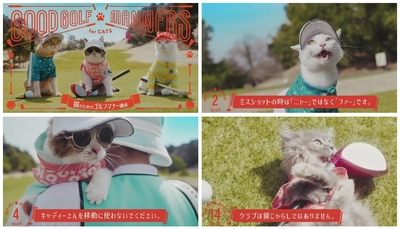 スポーツウエアブランド「アンパスィ」10周年記念。 かわいい猫ゴルファーに悶絶!?自由すぎるゴルフマナー動画「猫のためのゴルフマナー講座」公開。 ゴルフウエア姿で“猫版NGマナー”を実演！ しっぽでカップイン、ミスショットに「ニャー(ファー)」など。