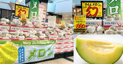 西船橋駅ナカで6/1(月)より開催 『ペリエマルシェ メロン祭り』