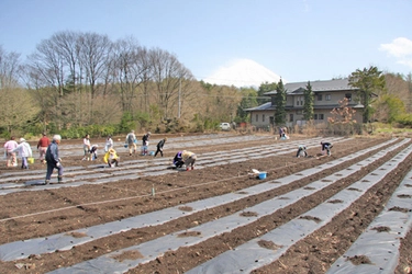 富士山の麓で週末ファーマーになろう！ 富士緑の休暇村「貸し農園」のオーナー募集！ 〜JA鳴沢村共同企画・全100区画を募集致します〜