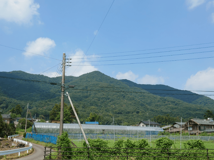 梨農園さんのある栃木県栃木市大平町の風景。自然豊かな環境です。