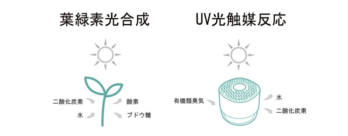 空気中のニオイを分解