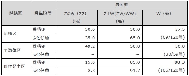 表2 実験で得られた受精卵とふ化仔魚の遺伝型の割合