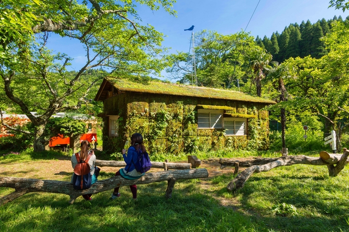 木村崇人《森ラジオ ステーション×森遊会》撮影:中村脩
