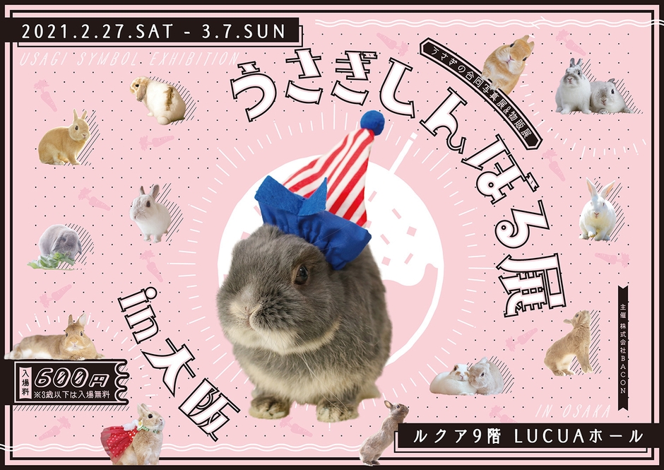 キービジュアル(横)