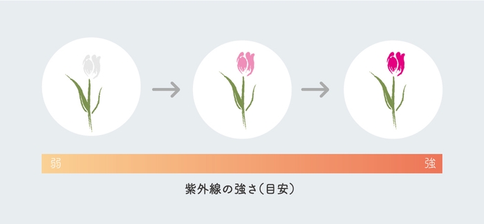 紫外線に反応しプリント部分の色が変化します