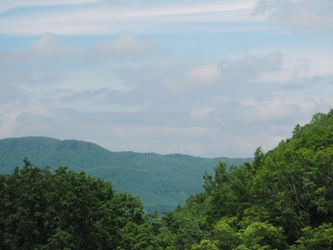 和精油の未来を拓く「日本の香りを世界へ」プロジェクト始動　 香り日本研究会、国際会議「AAC-AAIC 2026 KOREA」へ出展